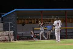 106: baseball_3559