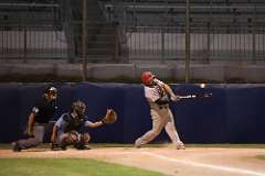 113: baseball_3598