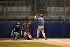 241: baseball_4362
