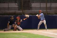 246: baseball_4391