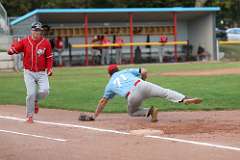15: baseball_4600