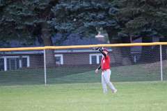 75: baseball_5001