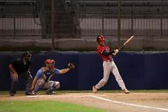 95: baseball_5163