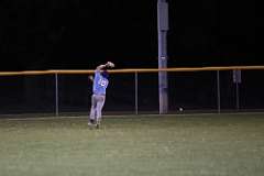 100: baseball_5195