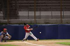 136: baseball_5446