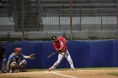 155: baseball_5596