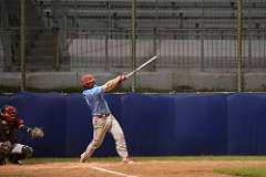 202: baseball_5946