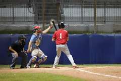 209: baseball_6009