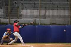 219: baseball_6077
