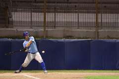 237: baseball_6204