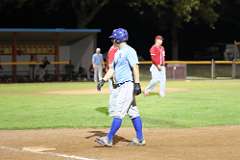 239: baseball_6209
