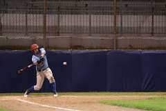 241: baseball_6233