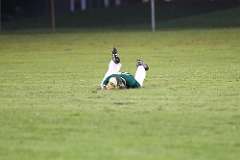 31: baseball_6482