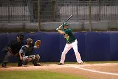 55: baseball_6647