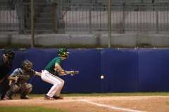 216: baseball_7906