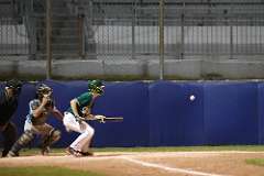 217: baseball_7907