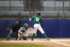 17: baseball_7556