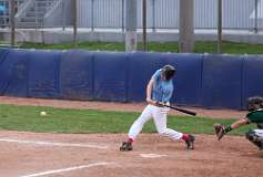 96: baseballl1_2010