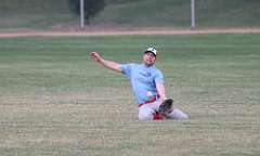 96: baseball_2419