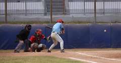 132: baseball_3139