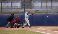 136: baseball_3143