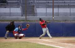 147: baseball_3331