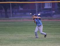 153: baseball_3446