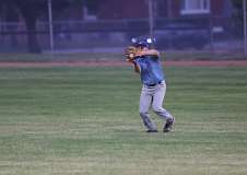 154: baseball_3447