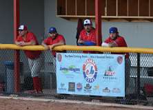 141: baseball_3253