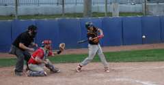 142: baseball_3313