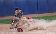 195: baseball_4456