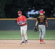 217: baseball_4737