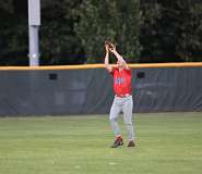 239: baseball_4973