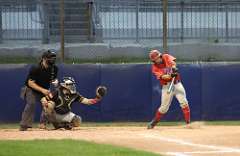 246: baseball_5188
