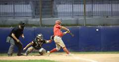 254: baseball_5306