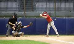 262: baseball_5591