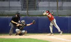 263: baseball_5592