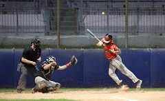 265: baseball_5594