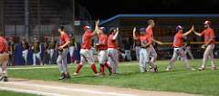 294: baseball_6229