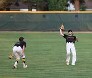 77: baseball_1333