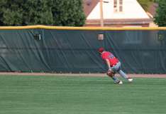 87: baseball_1466