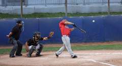 137: baseball_2598