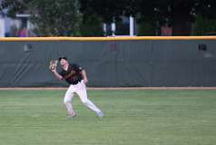 139: baseball_2612