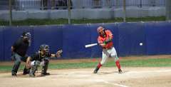 177: baseball_3366
