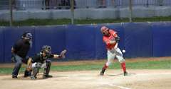 178: baseball_3367