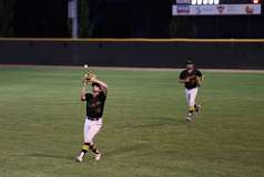 194: baseball_3812