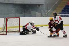 132: hockey-1_8779