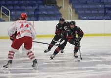 1: hockey1_0666