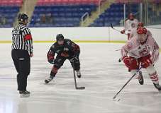 5: hockey1_0694
