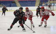 12: hockey1_0740